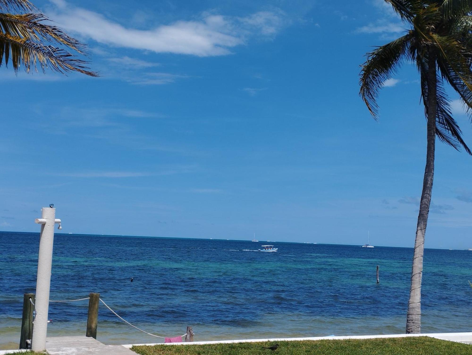 Cancun Ocean View Flamingo Plus Exteriör bild